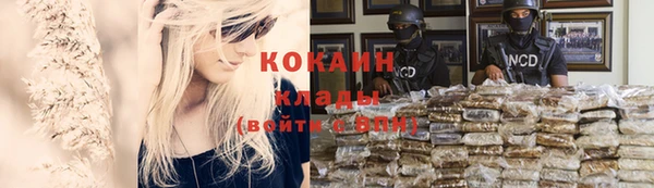 дживик Слюдянка