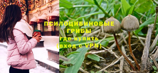 мефедрон Снежногорск