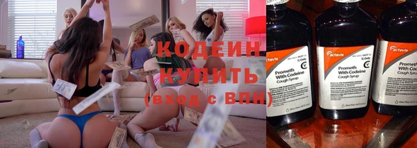 дживик Слюдянка