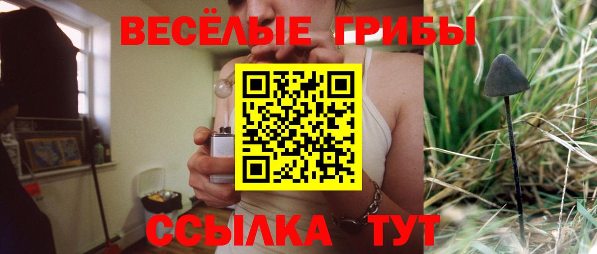 Псилоцибиновые грибы прущие грибы  Соликамск  Псилоцибиновые грибы MAGIC MUSHROOMS 